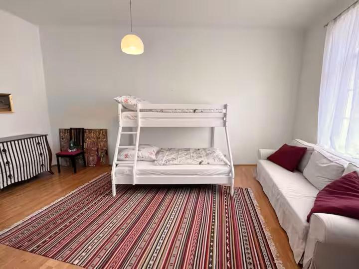 Grossraeumige Altbauwohnung Nahe Zentrum Apartment *